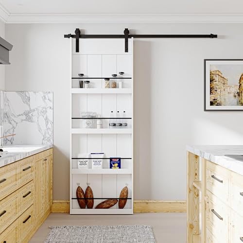 Paintable Book Shelf Style Barn Doors, 30