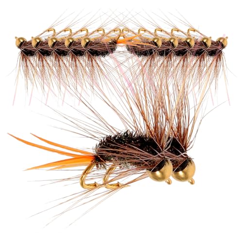 Parliky 12 ᒎtCtbN HUAj ނ胋A[a ϕHs[RbNf oCIjbNtCtBbVOANZT