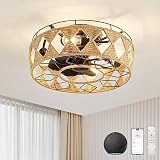SCAWAIL Ceiling Fans with Lights,Enclosed Low Profile Ceiling Fan with Light and Alexa/Google Home/R