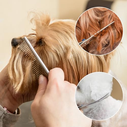 Diompirux paquet de 5 Profes Ciseaux Toilettage Professionnel Chien Poils, Compris 1 Ciseaux à Effiler, 2 Ciseaux Courbes, 1 Ciseaux Droits, 1 Peigne, pour Animaux Domestiques pour Couper les Poils – Image 3