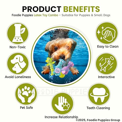 Image of Foodie Puppies 4-in-1 Combo of Latex Squeaky Toy for Small to Medium Dogs - (Green Monkey + Purple Elephant + Blue Bull + Claw Ball) | Non-Toxic, Soft Rubber, Interactive, Chewing, Fetch Play Toy