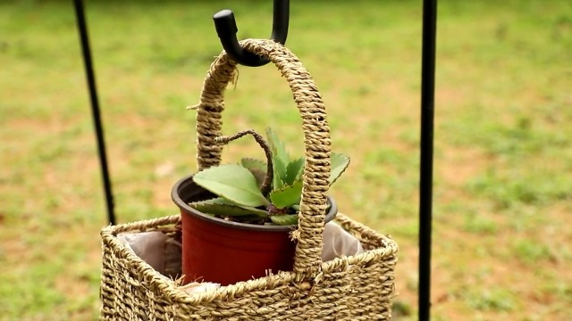 Ganci da Pastore da Giardino 81.5cm, Regolabile in Metallo Con Quattro Ganci da 20 cm - Per Esterni