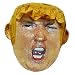 Pinatas Mr. President Donald Trump Pinata, Parody for Beating, Larger Than Life Head (17Inch)