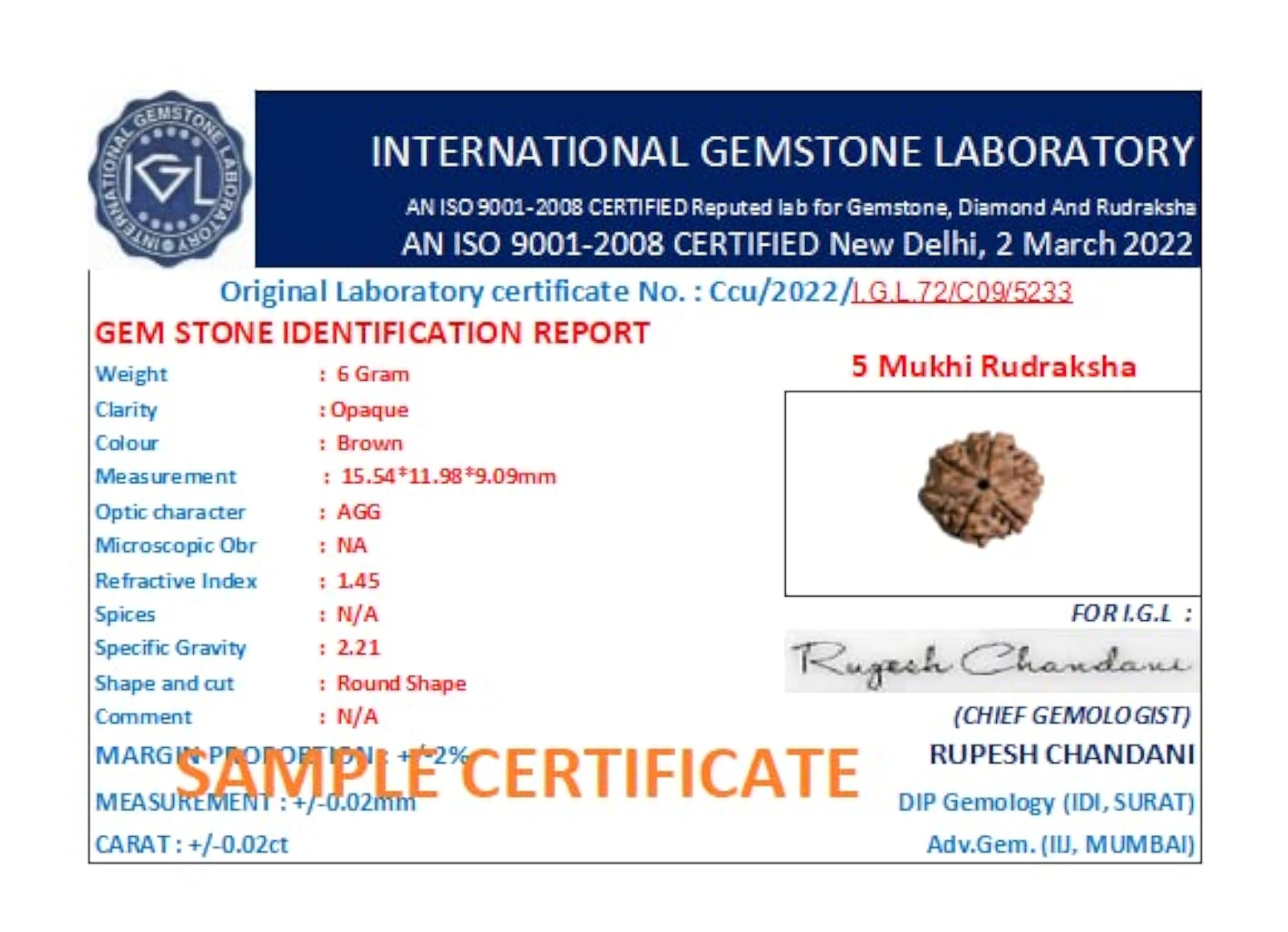 5 Mukhi Kalagni Rudraksha Brown Beads, Lab Certified