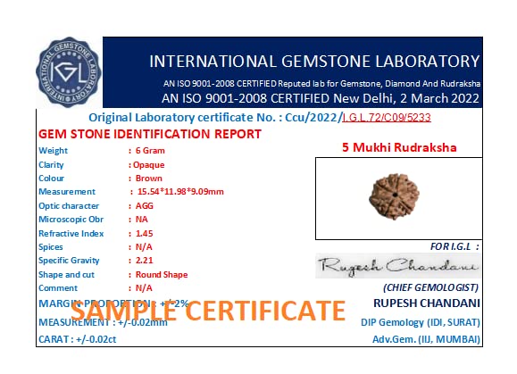 Astro Cart 5 Mukhi Rudraksha Indonesia Panch Mukhi Rudraksha Original Certified Pendant 3