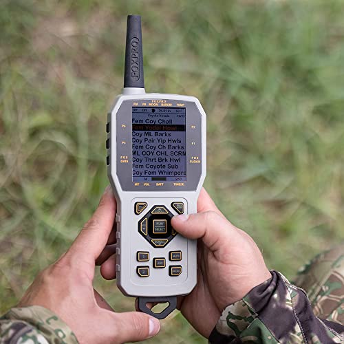 FOXPRO Shockwave Call