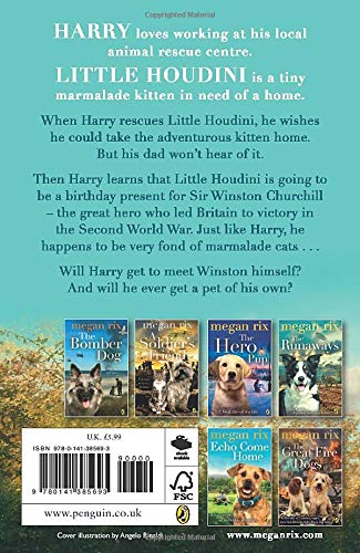 Winston and the Marmalade Cat