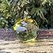 Yellow Glass Apple Figurine – Handmade Fused Art Glass Fruit – Mini Decorative Apple for Kitchen Shelf or Desk – Teacher Thank You Gift