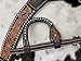 Showman Floral Tooled Leather Headstall & Breast Collar Set w/Teal Inlay