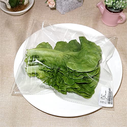 tonntyann 食品サンプル レタスの葉 本物そっくり 野菜 模型 フェイク イミテーション おケーキ屋 ディスプレイ 学校 行事 飾り ディスプレイ 撮影 幼児教育の小道具 などに (10枚)