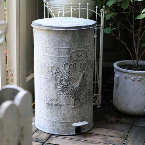 Z&Z ornamentorum Mülleimer Küche groß 17L Mülltonnen Retro-Eisen-Trittpedal-Mülleimer für den Innen- und Außenbereich,Entsorgung im Garten Grosse Kapazität Treteimer Abfalleimer Küchenabfalleimer