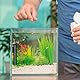 POPETPOP 10 Stücke Aquarium Temperatur Messgerät Aufkleber, Thermometer Strip für Haus Fisch Tank und Aquarium Wasserdicht Präzise