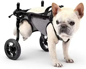 Dog Wheelchair for Back Legs, Adjustable Mobility Cart for Dogs