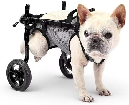 Dog Wheelchair for Back Legs, Light Weight Dog Wheelchair Cart with Disabled Hind Legs Walking, Adjustable