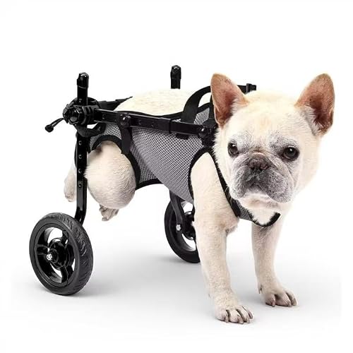 BECROWM Dog Wheelchair for Back Legs, Light Weight Dog&Cat&Pets Wheelchair Cart with Disabled Hind Legs Walking, Adjustable Doggy Wheelchair Cart with Wheels for Back Legs (Grey, Small（S）)