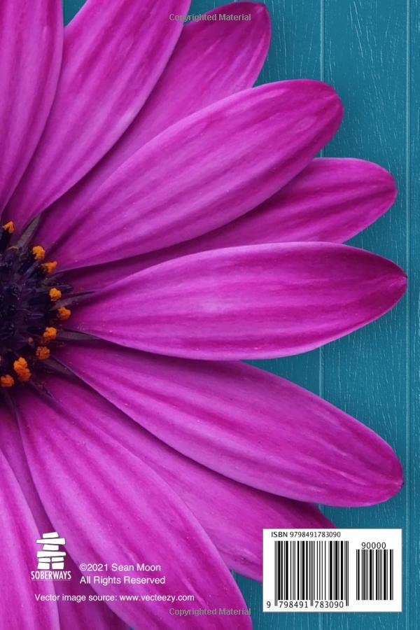 Just for Today — Daily Reflections: Guided Daily Sobriety Journal for Women in Addiction Recovery with Writing Prompts, Gratitude List and Space for Self-Reflection image 3