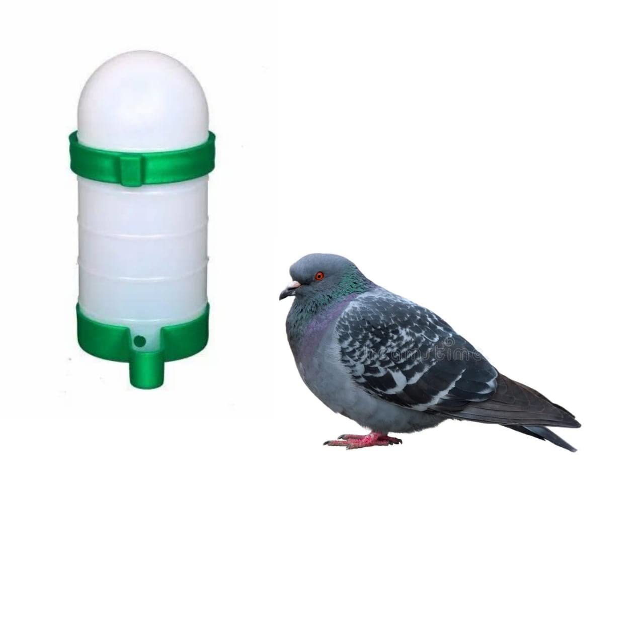 Pigeon Water Drinker 650ml (Pack-1piece,2 Piece 3piece,4 pcs are Available) Using for Pigeons,Parrots,House Sparrow (4) (B0C4JQPTMW) Amazon Price History, Amazon Price Tracker