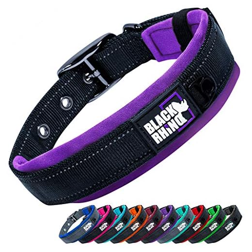 Black Rhino - The Comfort Collar - Collar de perro acolchado de neopreno ultra suave para todas las razas. Resistente, ajustable, reflectante y resistente a la intemperie (XL, morado y negro)