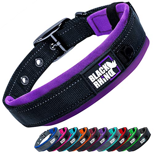 Lindo Collar Para Perro, Suave Y Ajustable Con Collares CoLG | Cuotas Sin Interés