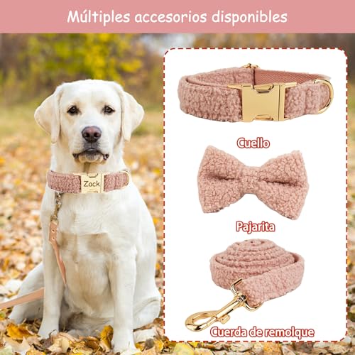 Personalisiertes Hundehalsband mit Metallschnalle, beidseitiges Halsband personalisiert mit Name und Telefonnummer, verstellbare Größen für kleine Hunde, mittel und groß (Halsband 06)