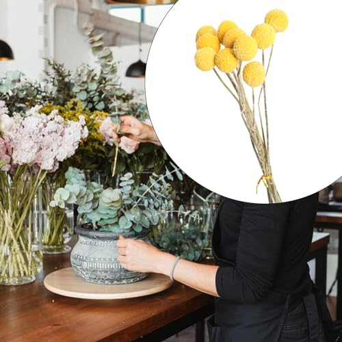10 Flores Secas para Decoración Boho DIY miniatura 2