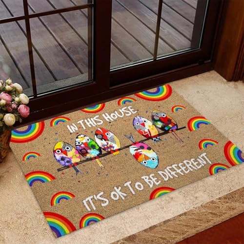 in This House It’s Ok to Be Different Doormat with Rainbow Birds Design, Inclusive Inspirational Welcome Mat for Front Door, Non Slip Indoor Outdoor Entryway Rug, Positive Home Decor