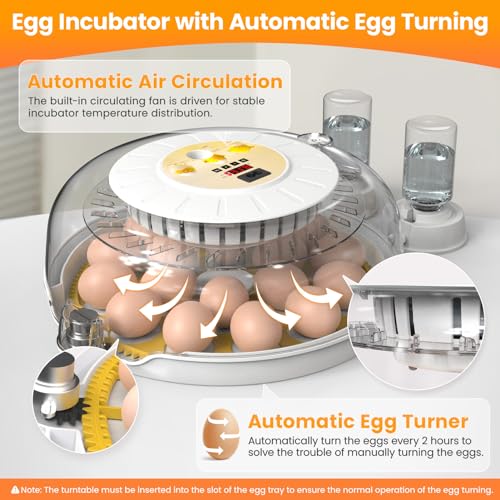 Detodda 1000000TC18 Eggs Incubators For Hatching Eggs thumb #1