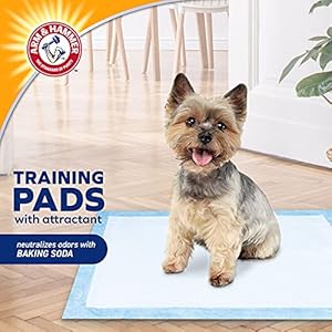 Arm & Hammer for Dogs Puppy Training Pads with Attractant | New & Improved Super Absorbent, Leak-Proof, Odor Control Quilted Puppy Pads with Baking Soda| 50 Count Wee Wee Pads