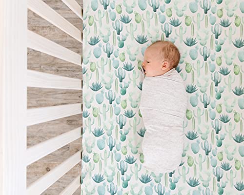 Premium Fitted Knit Crib Sheet/Toddler Sheet Desert By Copper Pearl #TOP4