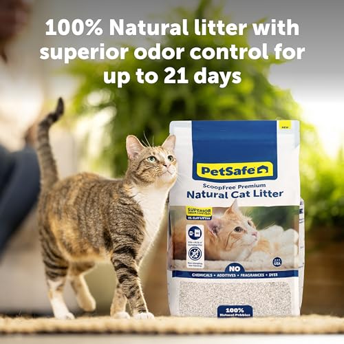 Natural Non-Clumping Cat Litter for Cats, 30+ Day Odor Control (8 lb Bag)