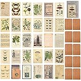 Temi: Questo set di cartoline vintage è una collezione di vari temi, come funghi, fiori, piante, erbe, fiori, erbe, spezie, uccello, farfalla, punti di riferimento, pianeti, luna, sistema solare e altro ancora.