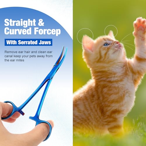 Image of BBTO Hemostat Curved and Straight Hemostat Forceps Piercing Pliers Forceps, Stainless Steel Straight and Curved Pliers, Fishing Tweezer(Blue,2 Pcs)