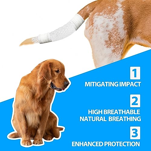 CHGShine Hundeschwanzschutz Hundeenden Starterpaket Hundeschwanz Dressing Tierarzt Wrap für Hunde Haustier Tiere
