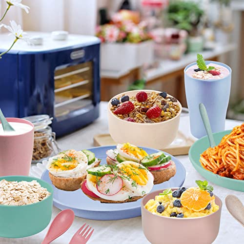 Plastic Plates And Bowls Sets, 20Pcs Wheat Straw Dinnerware Sets, Kitchen Plates Cups And Bowls Set, Camping Reusable Plates And Bowls Sets, Timdam Lightweight Bowls, Unbreakable Dinner Plates #TOP4