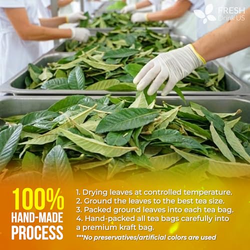 Image of FreshDrinkUS, Premium 40 Tea Bags Loquat Leaf Tea | Eriobotrya japonica | Herbal Tea Bags | Naturally Dried Loquat Leaves | Caffeine-Free Botanical Tea. Sugar-Free. Caffeine-Free. Vegan