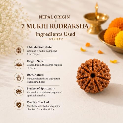 Image of Natural Seven Face Rudraksha Bead for Puja, Japa, Meditation & Spiritual Practices | Authentic Rudraksh for Men & Women (7 Mukhi Rudraksha)