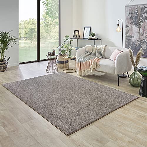 Carpet Studio Ohio Alfombra Salón 160x230cm, Alfombras para Sala, Comedór & Dormitorio, Fácil de Limpiar, Superficie...