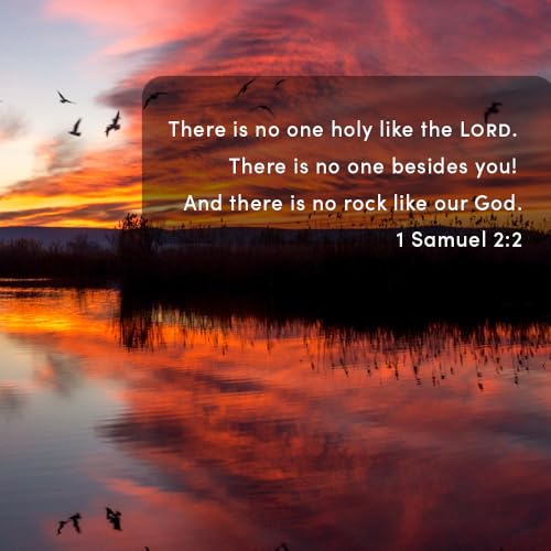 When You Pray - Bible Study Book with Video Access: A Study of Six Prayers in the Bible - Image 15