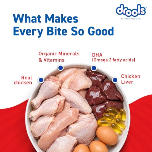 Image of Drools Puppy Wet Dog Food 10 Pouches + 2 Free (12 x 60g) | Real Chicken & Liver Chunks in Gravy | Supports Skin & Coat | Promotes Joint Strength | Aids Digestion & Overall Wellness