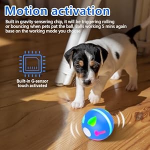 Interactive dog toyscats balls with motion activatedusb rechargeable electric dog smart ball for medium small puppy   cucciolini doodles