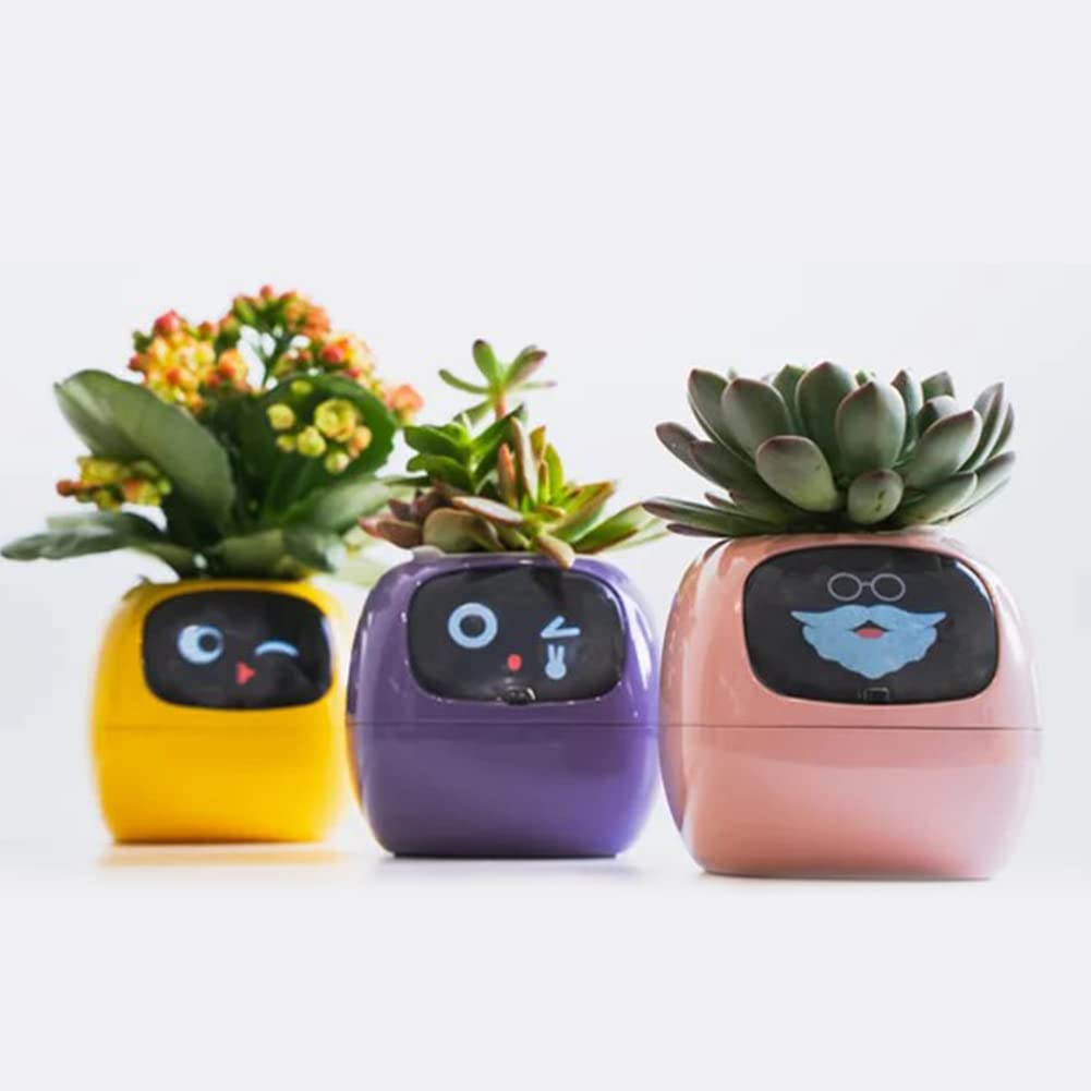 【新品未開封】Ivy スマートプランター ピンク Amazon.co.jp: Ivyスマートプランター スマート植木鉢、スマートペット