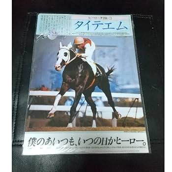 Amazon.co.jp: JRA 競馬 タイテエム クリアファイル ヒーロー
