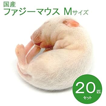 送料無料 冷凍マウスファジーS50匹 Amazon | 冷凍マウス ファジー M 20匹 国産 SAfarm | SAfarm