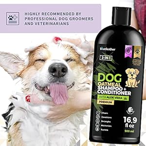 Lavender Oatmeal 2 in 1 Dog Shampoo and Conditioner for Dry Itchy Sensitive Skin – Moisturizing Hypoallergenic Shampoo – Oatmeal Wash with Aloe for Any Pet Dog Puppy or Cat 16.9 Fl Oz (Pack of 1)