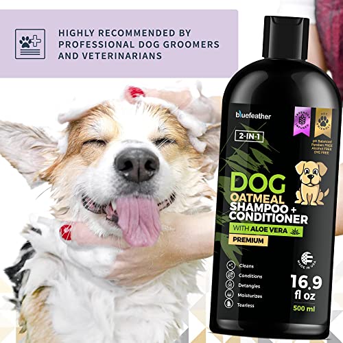 Lavender Oatmeal 2 in 1 Dog Shampoo and Conditioner for Dry Itchy Sensitive Skin – Moisturizing Hypoallergenic Shampoo – Oatmeal Wash with Aloe for Any Pet Dog Puppy or Cat 16.9 Fl Oz (Pack of 1) Lavender Oatmeal 2 in 1 Dog Shampoo and Conditioner for Dry Itchy Sensitive Skin – Moisturizing Hypoallergenic Shampoo – Oatmeal Wash with Aloe for Any Pet Dog Puppy or Cat 16.9 Fl Oz (Pack of 1)