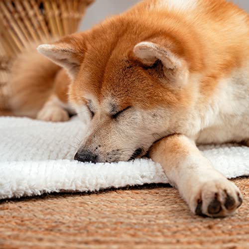 lionto Wendedecke wärmend für Hunde und Katzen, gefütterte Liegedecke waschbar mit strapazierfähiger und flauschiger Seite, 75x55 cm, hygienische Matte mit Kälteschutz für Haustiere aller Größen, grau