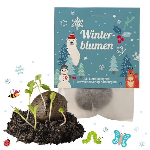 Ideenverlag HAMBURG 10x Winterblumen Winter Samenbomben Kindergeburtstag/Treiben aus bei Kälte! / Geschenke Mitgebsel - Kinder Geburtstag Mitbringsel - Kleinigkeit give-Away