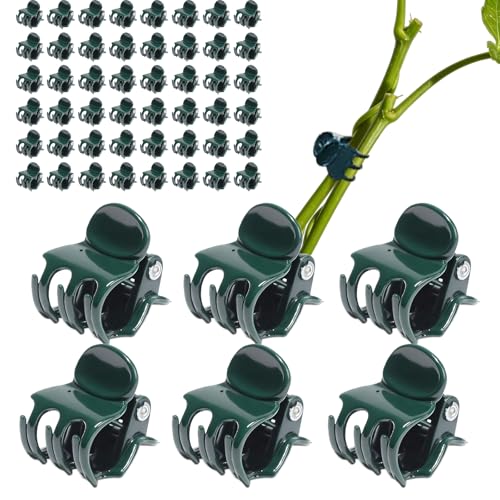 70 Pcs Plant Clips Orchid Clips Plants Orchid Support Clips Flower Vine Clips for Supporting Stems Vines Stalks Climbing Plant Grow Upright