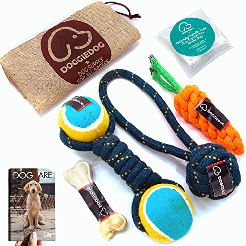 Image of DOGGIE DOG Attractive Cotton Poly Mix Chew Dog Toys Rope for Teething Suitable for Adult, Small & Medium Puppies with eBook & Stand Up Jute Printed Pouch(Bob Barker Blue (6 in 1 Combo) (Pack of 1))