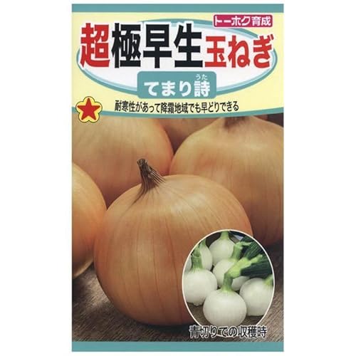 てまり詩 超極早生玉葱 １００粒のサムネイル